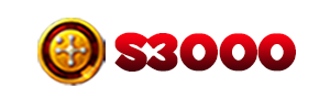 s3000